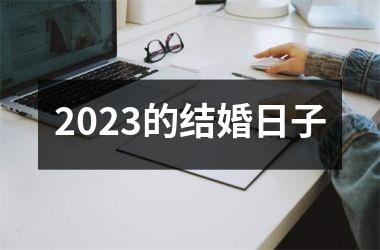 2025的结婚日子