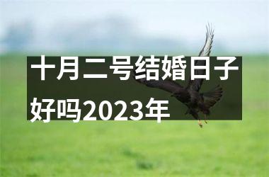 <h3>十月二号结婚日子好吗2025年