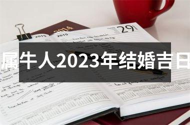 属牛人2025年结婚吉日