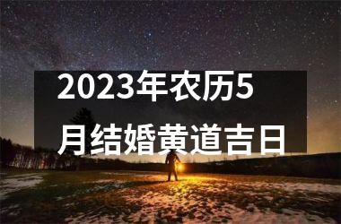 <h3>2025年农历5月结婚黄道吉日