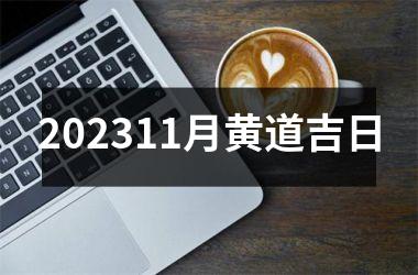 <h3>202511月黄道吉日