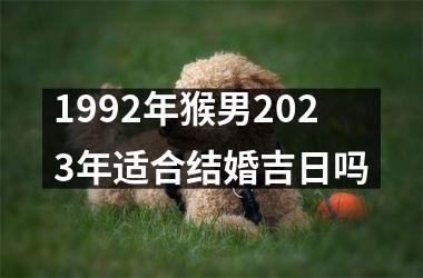 <h3>1992年猴男2025年适合结婚吉日吗