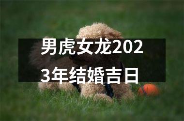 <h3>男虎女龙2025年结婚吉日