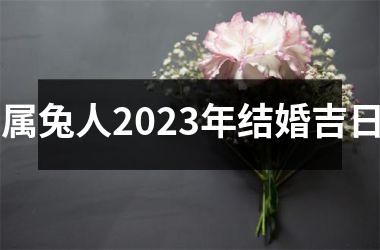 属兔人2025年结婚吉日