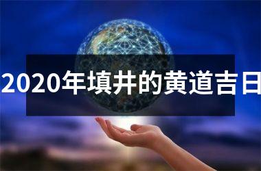 2025年填井的黄道吉日