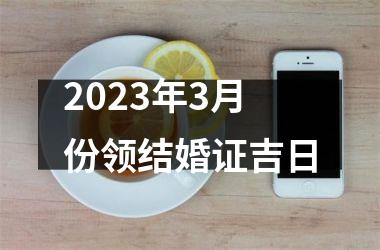 <h3>2025年3月份领结婚证吉日