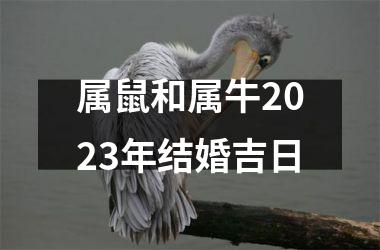 <h3>属鼠和属牛2025年结婚吉日