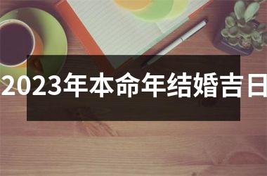 <h3>2025年本命年结婚吉日