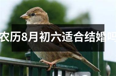 农历8月初六适合结婚吗