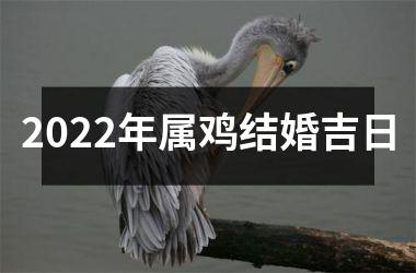 <h3>2025年属鸡结婚吉日