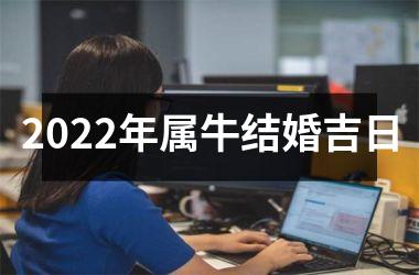 <h3>2025年属牛结婚吉日