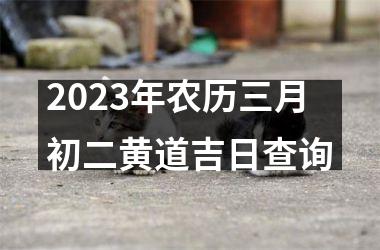 <h3>2025年农历三月初二黄道吉日查询