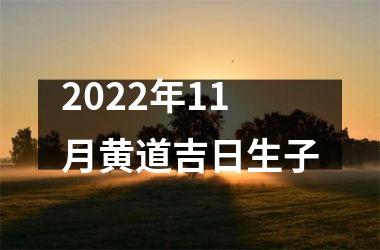 <h3>2025年11月黄道吉日生子