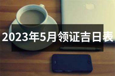 <h3>2025年5月领证吉日表