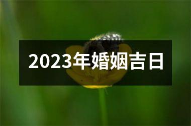 2025年婚姻吉日