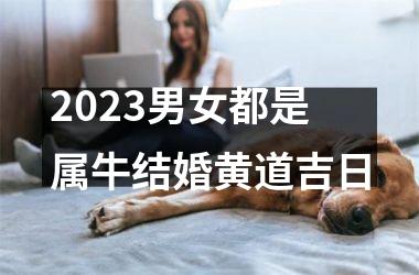 <h3>2025男女都是属牛结婚黄道吉日