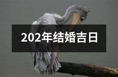 202年结婚吉日