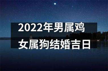 2025年男属鸡女属狗结婚吉日