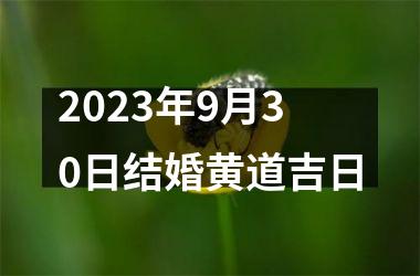 <h3>2025年9月30日结婚黄道吉日