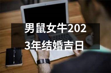 <h3>男鼠女牛2025年结婚吉日