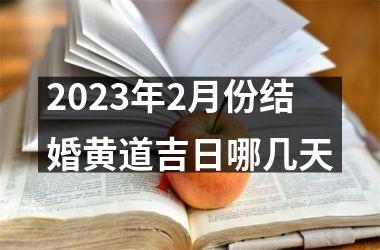 <h3>2025年2月份结婚黄道吉日哪几天