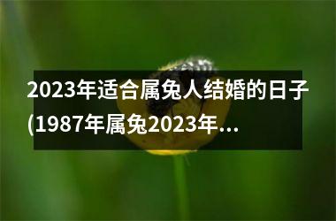 <h3>2025年适合属兔人结婚的日子(1987年属兔2025年结婚吉日)