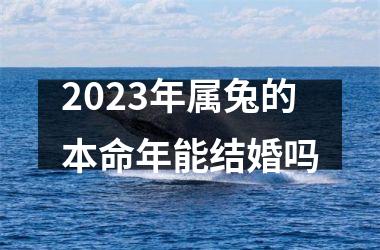 2025年属兔的本命年能结婚吗