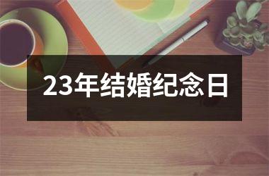 <h3>23年结婚纪念日