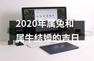 <h3>2025年属兔和属牛结婚的吉日