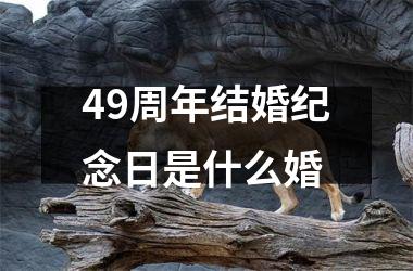 <h3>49周年结婚纪念日是什么婚