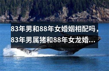 83年男和88年女婚姻相配吗，83年男属猪和88年女龙婚配吗