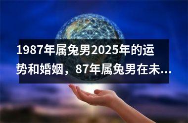 1987年属兔男2025年的运势和婚姻，87年属兔男在未来十年运势如何