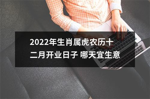 <h3>2025年生肖属虎农历十二月开业日子哪天宜生意