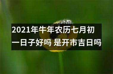 <h3>2025年牛年农历七月初一日子好吗 是开市吉日吗