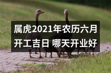 属虎2025年农历六月开工吉日 哪天开业好