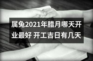 属兔2025年腊月哪天开业好 开工吉日有几天