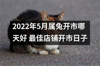 2025年5月属兔开市哪天好 佳店铺开市日子