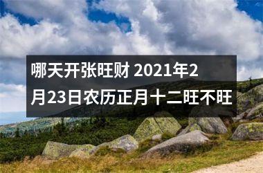 <h3>哪天开张旺财 2025年2月23日农历正月十二旺不旺