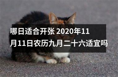 哪日适合开张 2025年11月11日农历九月二十六适宜吗