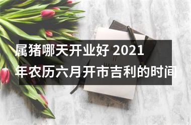 属猪哪天开业好 2025年农历六月开市吉利的时间