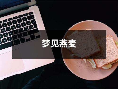 <h3>梦见燕麦