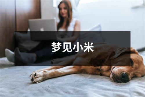 <h3>梦见小米
