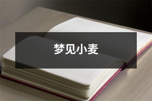 <h3>梦见小麦