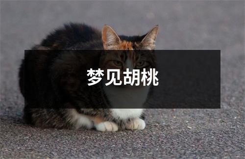 <h3>梦见胡桃