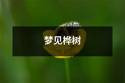 <h3>梦见桦树