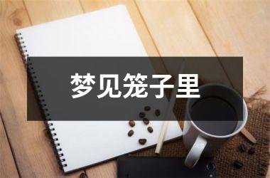 梦见笼子里