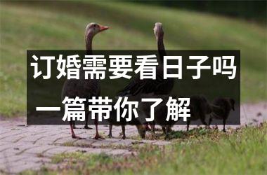 <h3>订婚需要看日子吗 一篇带你了解