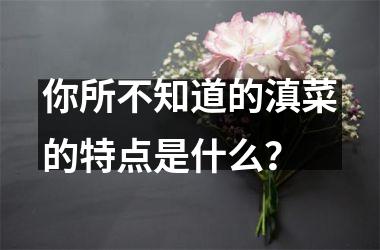 <h3>你所不知道的滇菜的特点是什么？