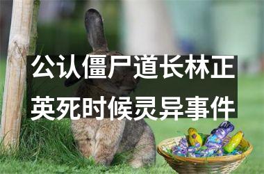 <h3>公认僵尸道长林正英死时候灵异事件