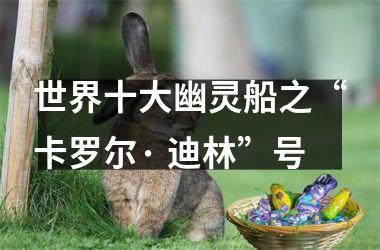 <h3>世界十大幽灵船之“卡罗尔· 迪林”号